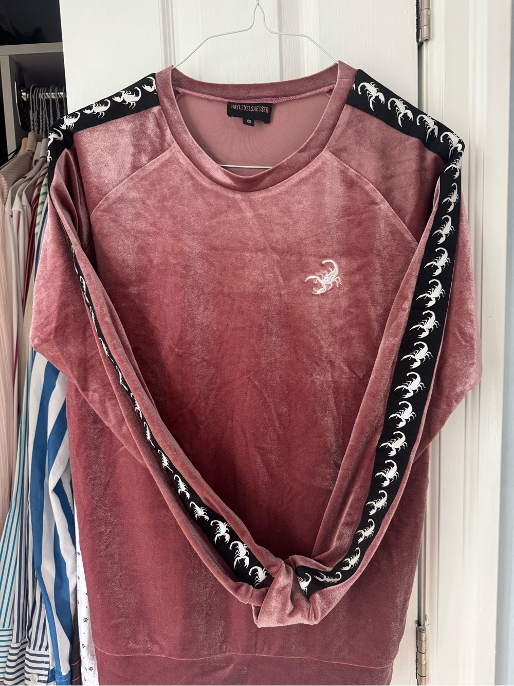 Plush Velvet Crewneck Sweater in Dusty Rose
